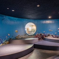 Floor and wall graphics