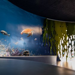 Hørsholm Public Library, Denmark