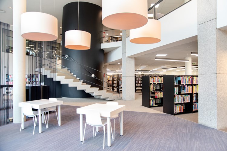 Public libraries
